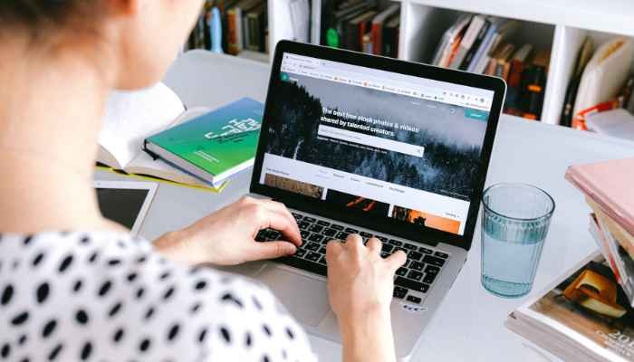 फ्रीलांसिंग क्या है?